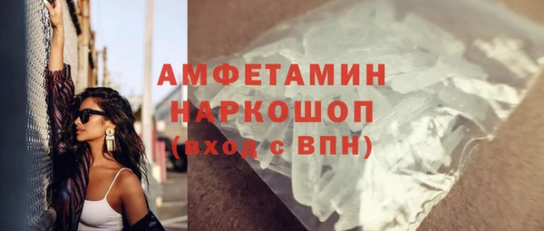 индика Нея
