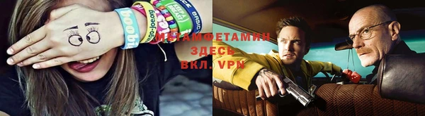 индика Нея