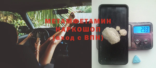 индика Нея
