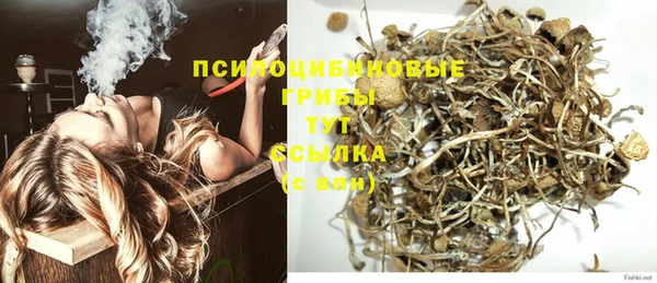 шишки Нефтегорск