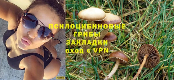 первитин Надым