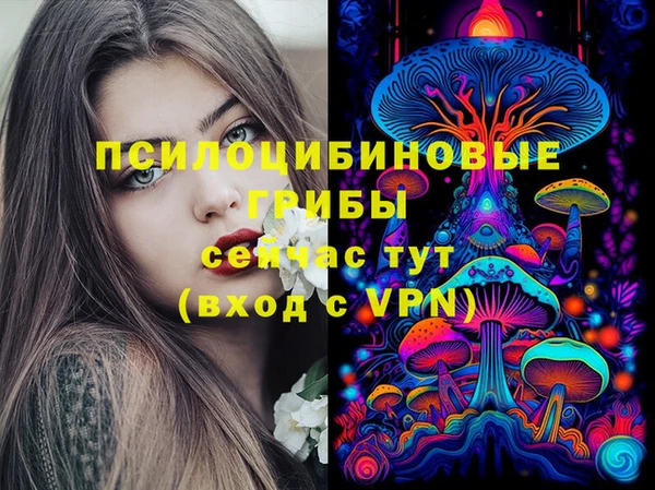 шишки Нефтегорск