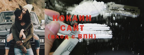 шишки Нефтегорск